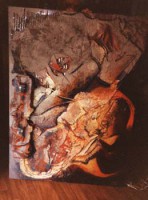 /album/fetum1/serie-fetum-23-jpg/